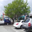 삼산면사무소 이미지