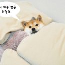 배스킨라빈스별내 - 남양주시 별내3로 328 | 배스킨라빈스별내
