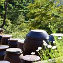 그늘과 빛의 기억  이미지