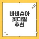 바비슈아 이미지