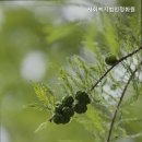 사회복지법인 함께걸음 | 믿을 수 있는 부산 북구 요양원 추천 사회복지법인정화원 사회복지법인정화원