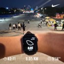 플러스존2 | [리뷰] 나이키 보메로 플러스 핑크 후기 vs 보메로 18과 비교 feat. 여의도 고구마런