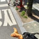 망원고로케