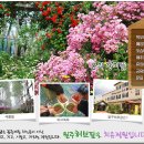 원주허브팜 티스토리