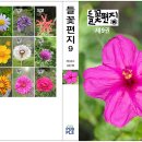 들꽃편지 이미지