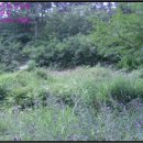 군외면-1 이미지