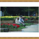 이좋은세상 이미지