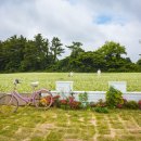 올리고마을영농조합법인 이미지