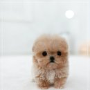 경안동-5 이미지