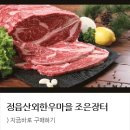 참조은고기 이미지
