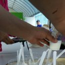 고성리산양목장 이미지