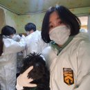 하트동물의료센터 이미지