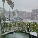 오쇼 하우스 이미지