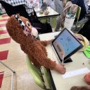 점말농장 이미지