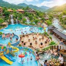 머드독 | 다낭 핫스프링 파크 61% 할인받고 다녀온 솔직 후기 (ft. 다낭 머드온천)