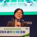 "남쪽에서 전력을 끌어온다? 매우 비효율적이고 비현실적인 계획이다"