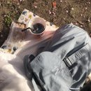 미호만남공원 공중화장실 | [26년3월 벚꽃 만개]오사카 근교 교토요도역 카와즈사쿠라 사진스팟+교토벚꽃여행 코스추천