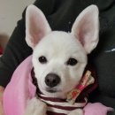 창현동물병원 이미지