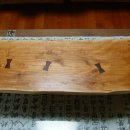 참중나무 이미지