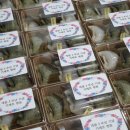 가제트병원 이미지