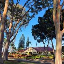 제2문호농장 | 하와이 Dole 파인애플 농장(Dole Plantation) 굿즈 구매 후기!