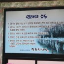 덕장 진땡이 이미지