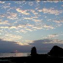 꽃지노을 이미지