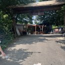 오산 백숙 맛집, 초가집 내삼미동 후기 (애견동반식당, 주차, 메뉴)