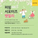 펫밀리스튜디오