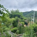 팔공펜션 1945 이미지