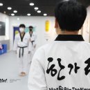 한가림 다올 태권도장 이미지