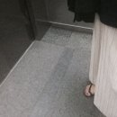 썬헤어모드 이미지