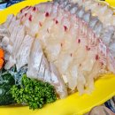 태백회수산 이미지