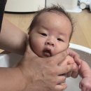 미래로 | 세종 산후도우미업체 "아이미래로" 20일 이용 후기