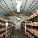 광열농장 이미지