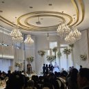 주)밝은마음 | (예식장) 서울밝은 홀 오펠리스 상담 후기 (26년 9월 견적 공유)