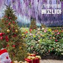 가평교통(주)노동조합 | 가평 여행 추천! 베고니아새정원에서 만나는 크리스마스 놀거리