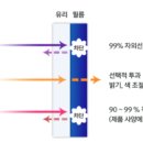 원틴팅 네이버블로그