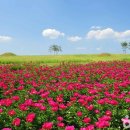 의성아산의원 이미지