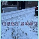 마켓컬리 평택물류센터 알바 일용직 후기 및 냉장과 냉동 재고관리 업무 차이점