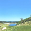 울진해물탕 이미지