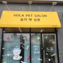 올라펫살롱 이미지