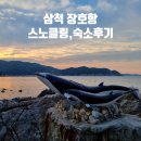 삼척 장호항, 장호항 스노클링 이용시간 · 이용요금 · 주차정보, 장호항 숙소 따봉펜션