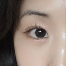 홀리카홀리카 신상 마이페이브 피스 아이 프로즌 멀티 팔레트 공용기 후기