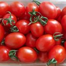 한진청과 이미지