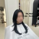 헤어셋틀러 이미지