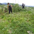 판문점주유소 이미지