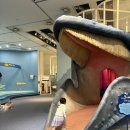 고래놀이터 | 아이랑 서천 여행 가볼만한곳: 국립 해양생물자원관, 씨큐리윰, 고래놀이터