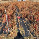 하만회관 이미지