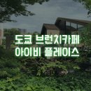 도쿄 다이칸야마 브런치 카페 (아이비 플레이스) 후기